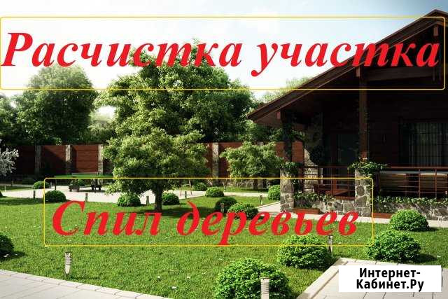 Расчистка участка.Спил деревьев Арзамас - изображение 1