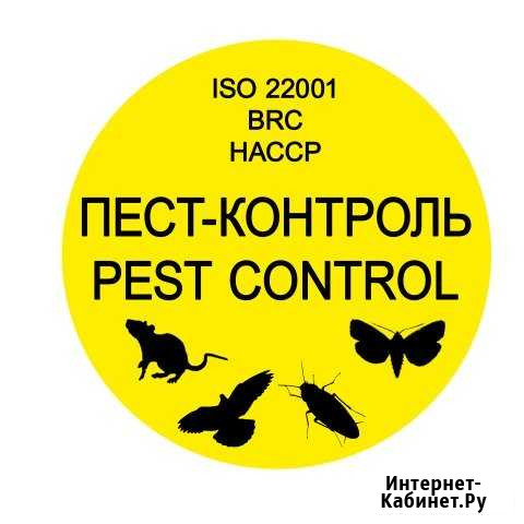 Пест-контроль (разработка программы, внедрение) Уфа - изображение 1