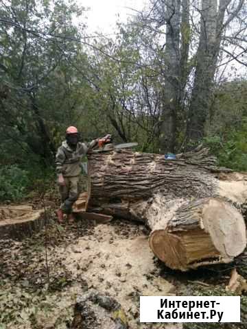 Валка деревьев,кронирование,санитарная валка в гор Ижевск - изображение 1