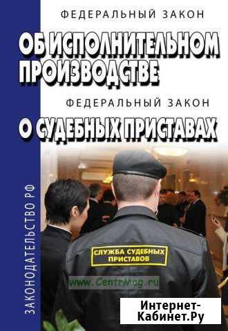 Решение вопросов по исполнительным производствам Пермь - изображение 1