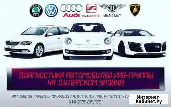 Диагностика, кодирование, прошивка Audi, VW, Skoda Ижевск