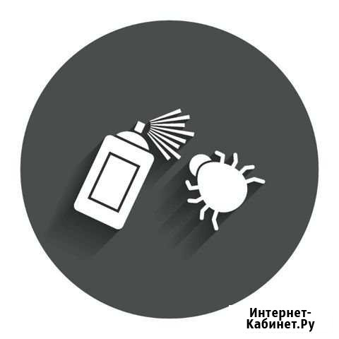 Уничтожение клопов, тараканов, частный дезинфектор Мурино - изображение 1