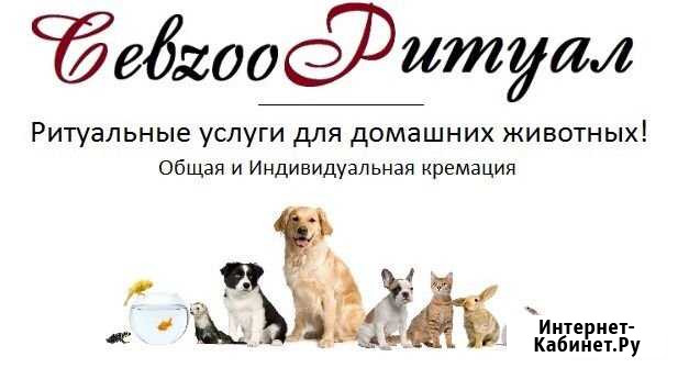 Кремация домашних животных Севастополь - изображение 1