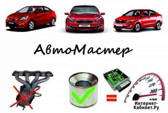 Удаление катализатора Kia Hyundai (Киа Хендай) Нижний Новгород