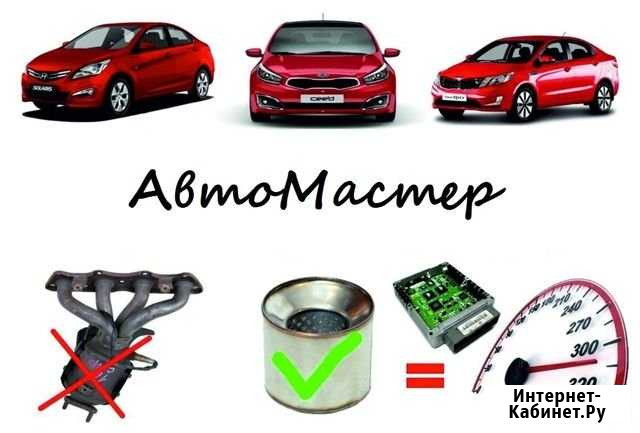 Удаление катализатора Kia Hyundai (Киа Хендай) Нижний Новгород - изображение 1