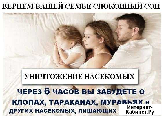 Дезинсекция. Уничтожение насекомых и грызунов Чистополь - изображение 1