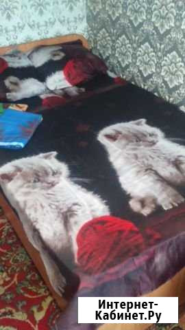 1-комнатная квартира, 19 м², 4/9 эт. в аренду посуточно в Кемерово Кемерово - изображение 1