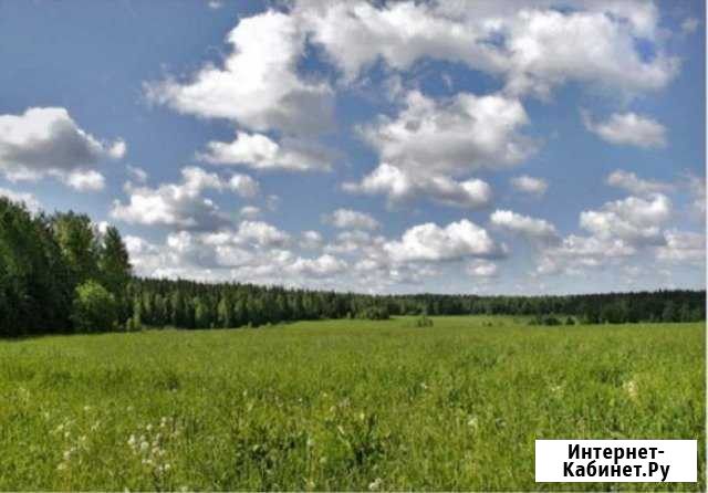 Участок СНТ, ДНП 10 сот. на продажу в Казани Казань - изображение 1