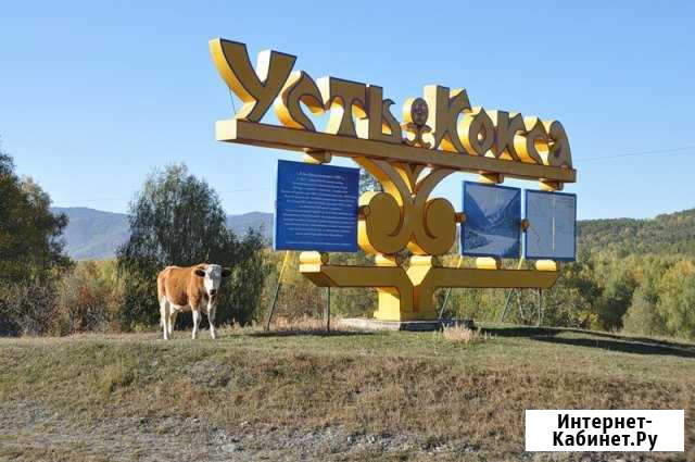 Участок ИЖС 18 сот. на продажу в Усть-Коксе Усть-Кокса - изображение 1