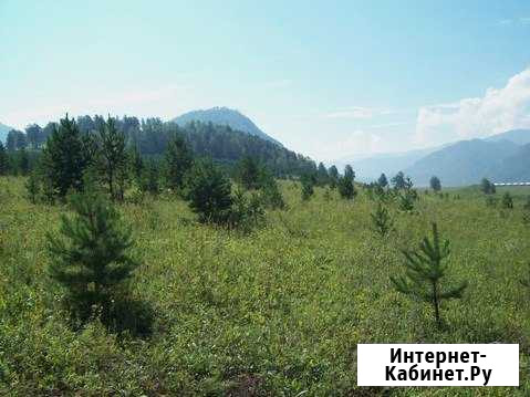 Участок ИЖС 10 сот. на продажу в Горно-Алтайске Горно-Алтайск - изображение 1