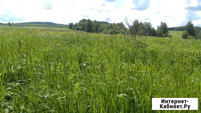 Участок ИЖС 15 сот. на продажу в Осе Пермского края Оса - изображение 1
