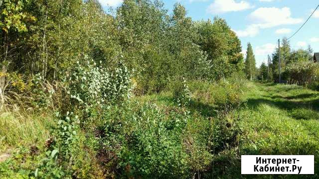 Участок СНТ, ДНП 12 сот. на продажу в Любане Любань - изображение 1