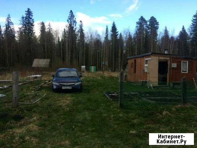 Дача 20 м² на участке 9 сот. на продажу в Пиндушах Пиндуши - изображение 1
