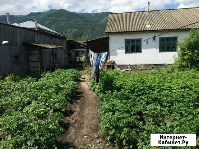Дом 61 м² на участке 8 сот. на продажу в Горно-Алтайске Горно-Алтайск - изображение 1