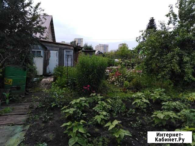 Дача 20 м² на участке 9 сот. на продажу в Кемерово Кемерово - изображение 1