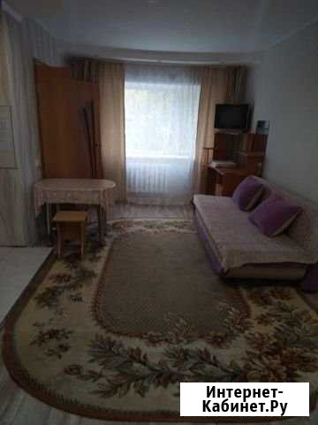 2-комнатная квартира, 46 м², 1/5 эт. в аренду посуточно в Благовещенске Амурской области Благовещенск - изображение 1