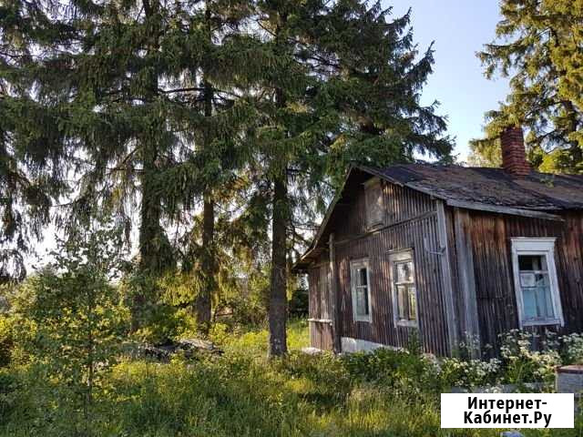 Дом 70 м² на участке 40 сот. на продажу в Саперном Саперное - изображение 1