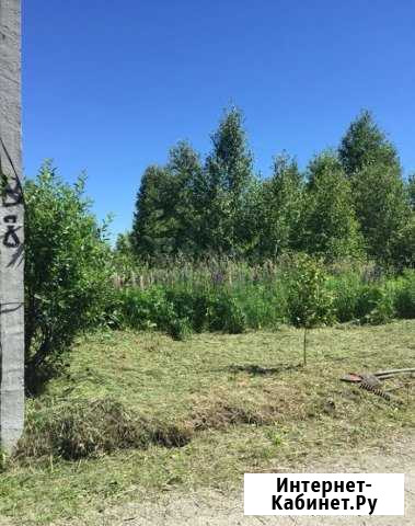 Участок СНТ, ДНП 10 сот. на продажу в Новосибирске Новосибирск - изображение 1