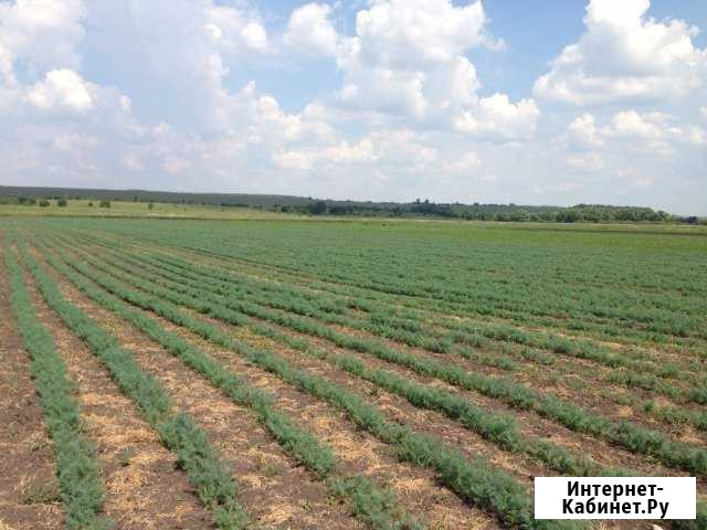 Участок СНТ, ДНП 2000 сот. на продажу в Ленинском Ленинский - изображение 1