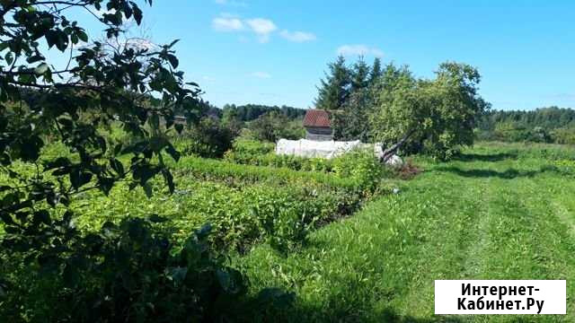 Участок СНТ, ДНП 3 сот. на продажу в Молочном Вологодской области Молочное - изображение 1
