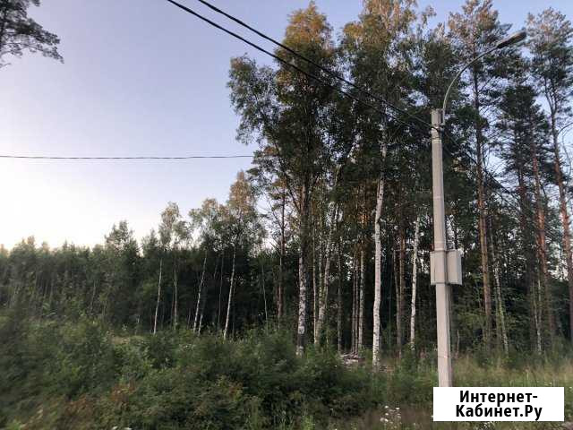 Участок СНТ, ДНП 12 сот. на продажу в Лебяжьем Ленинградской области Лебяжье - изображение 1