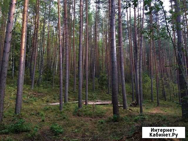 Участок ИЖС 13 сот. на продажу в Шуе Республики Карелия Шуя - изображение 1