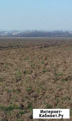 Участок СНТ, ДНП 10 сот. на продажу в Анапе Анапа - изображение 1