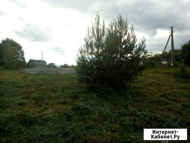 Участок СНТ, ДНП 15 сот. на продажу в Пскове Псков - изображение 1