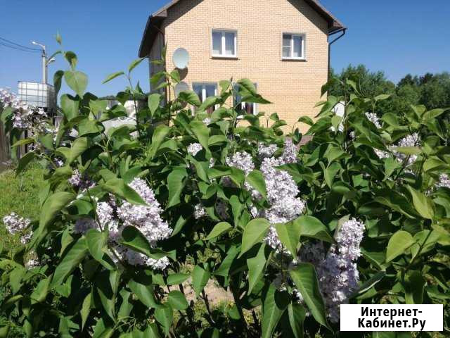 Коттедж 300 м² на участке 15 сот. в аренду посуточно в ЛМС ЛМС - изображение 1