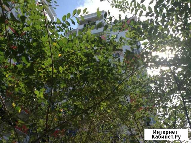 1-комнатная квартира, 49.7 м², 12/12 эт. на продажу в Махачкале Махачкала - изображение 1