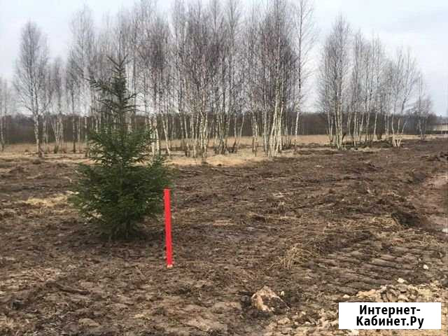 Участок ИЖС 12 сот. на продажу в Белоусово Белоусово - изображение 1