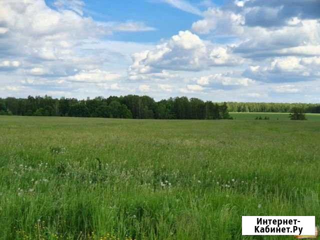 Участок ИЖС 40 сот. на продажу в Лямино Лямино - изображение 1