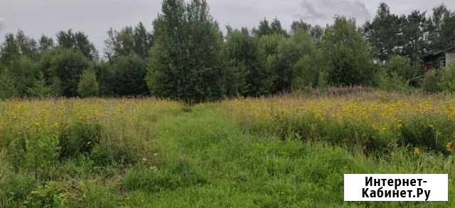Участок ИЖС 14 сот. на продажу в Звенигороде Звенигород - изображение 1