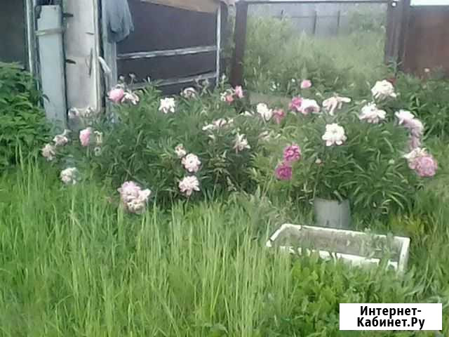 Участок СНТ, ДНП 5 сот. на продажу в Нижнекамске Нижнекамск - изображение 1