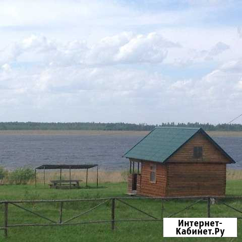 Дом 20 м² на участке 1000 сот. на продажу в Петухово Петухово - изображение 1
