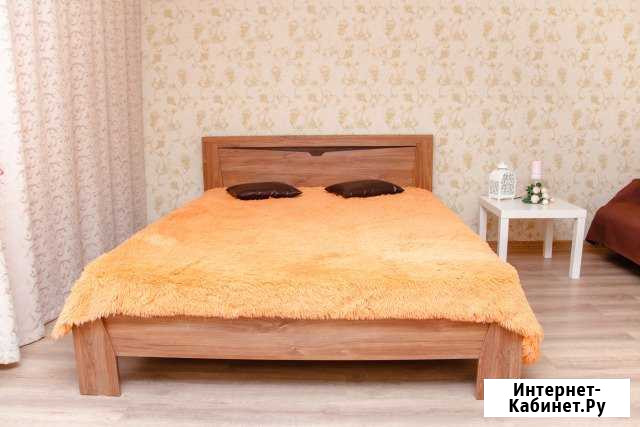 1-комнатная квартира, 45 м², 3/10 эт. в аренду посуточно в Красноярске Красноярск - изображение 1