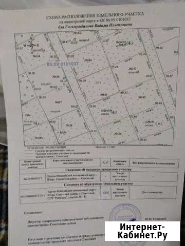 Участок СНТ, ДНП 1202 сот. на продажу в Советском Ханты-Мансийского АО Советский - изображение 1