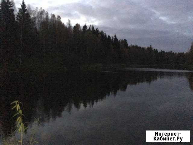 Участок СНТ, ДНП 8 сот. на продажу в Карабаново Карабаново - изображение 1