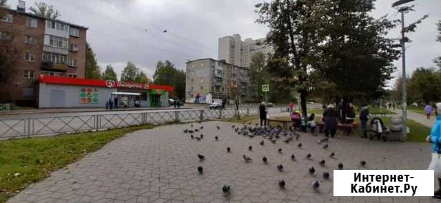 Помещение свободного назначения, 30 кв.м. Ярославль - изображение 1