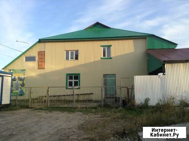 Дом 400 м² на участке 12 сот. на продажу в Нижневартовске Нижневартовск - изображение 1