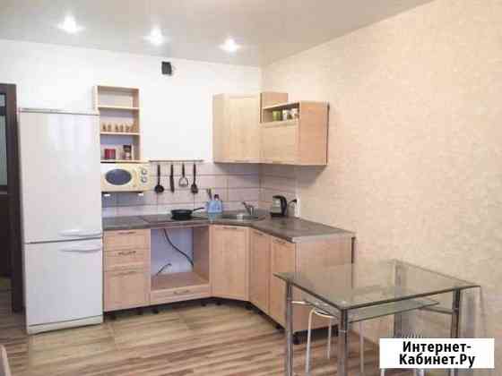 1-комнатная квартира, 41 м², 11/19 эт. в аренду посуточно в Верхней Пышме Верхняя Пышма
