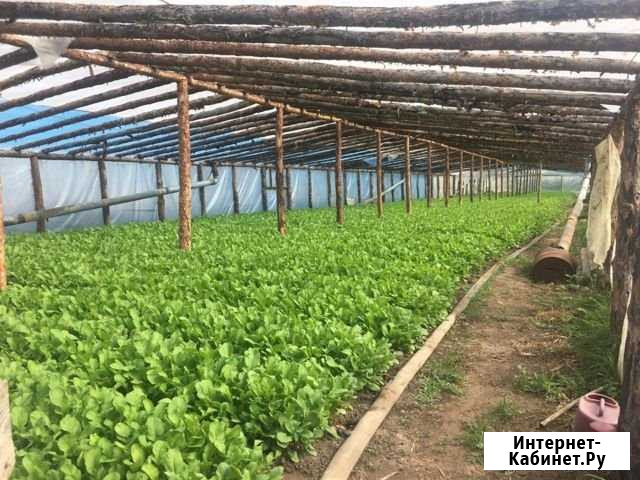 Дом 60 м² на участке 60 сот. на продажу в Рубцовске Рубцовск - изображение 1