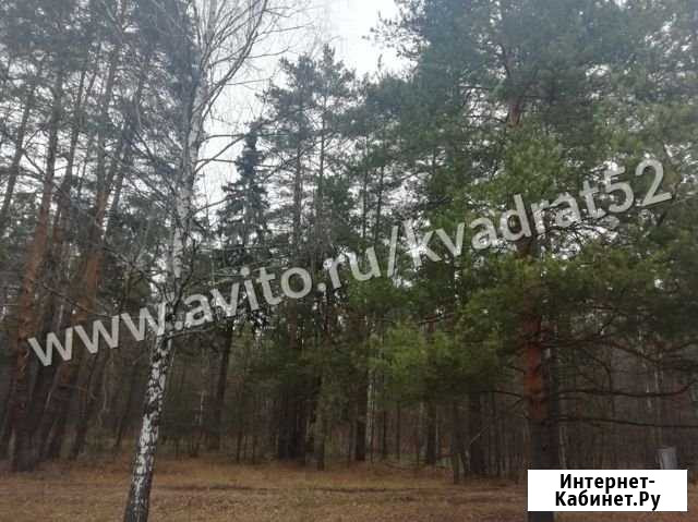 2-комнатная квартира, 44.6 м², 1/2 эт. на продажу в Кстово Кстово - изображение 1