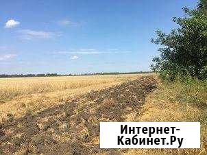 Участок СНТ, ДНП 13200 сот. на продажу в Старомышастовской Старомышастовская - изображение 1