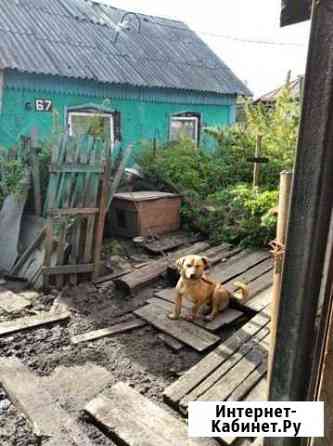 Дом 31 м² на участке 7 сот. на продажу в Кемерово Кемерово
