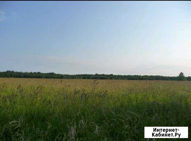 Участок СНТ, ДНП 560 сот. на продажу в Волхове Волхов - изображение 1