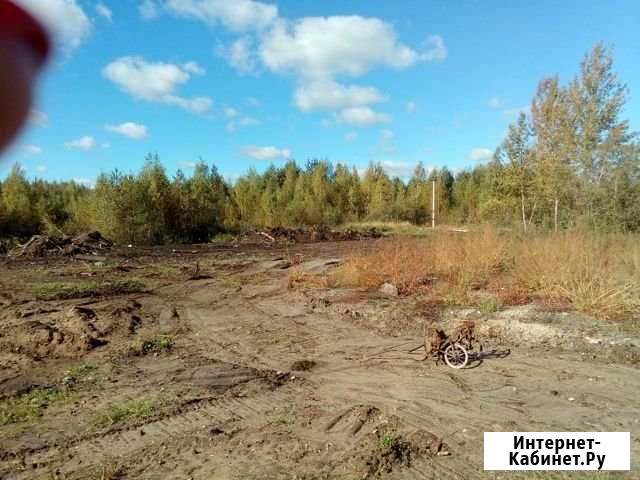 Участок СНТ, ДНП 8 сот. на продажу в Электрогорске Электрогорск - изображение 1