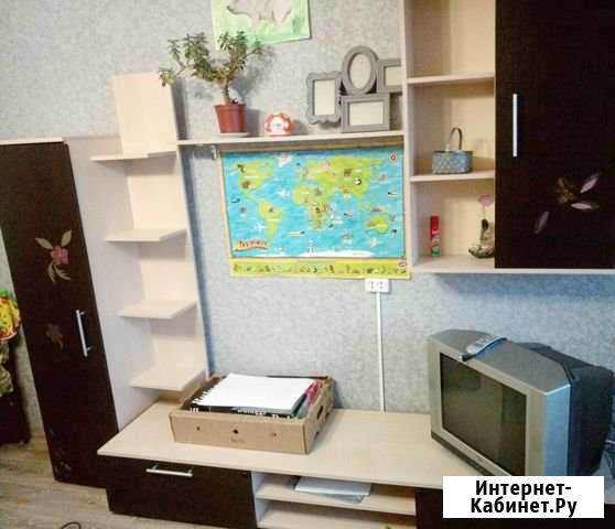 Комната 19 м² в 1-ком. кв., 7/9 эт. в аренду на длительный срок в Новочебоксарске Новочебоксарск - изображение 1