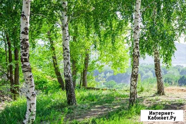 Участок ИЖС 22 сот. на продажу в Видном Видное - изображение 1