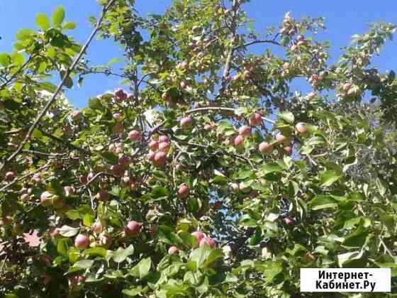 Дача 60 м² на участке 6 сот. на продажу в Казани Казань